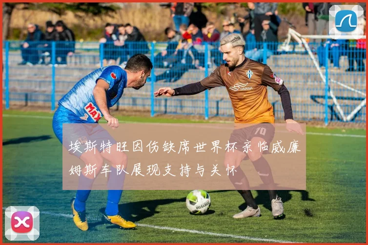 埃斯特旺因伤缺席世界杯亲临威廉姆斯车队展现支持与关怀