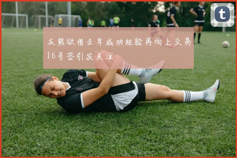 灰熊欲借去年成功经验再向上交易16号签引发关注