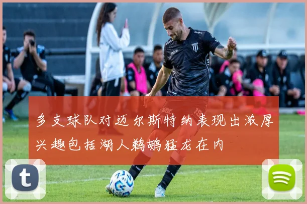多支球队对迈尔斯特纳表现出浓厚兴趣包括湖人鹈鹕猛龙在内